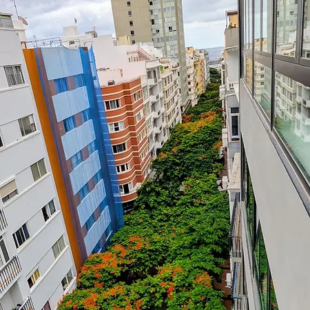 Chc Διαμέρισμα *